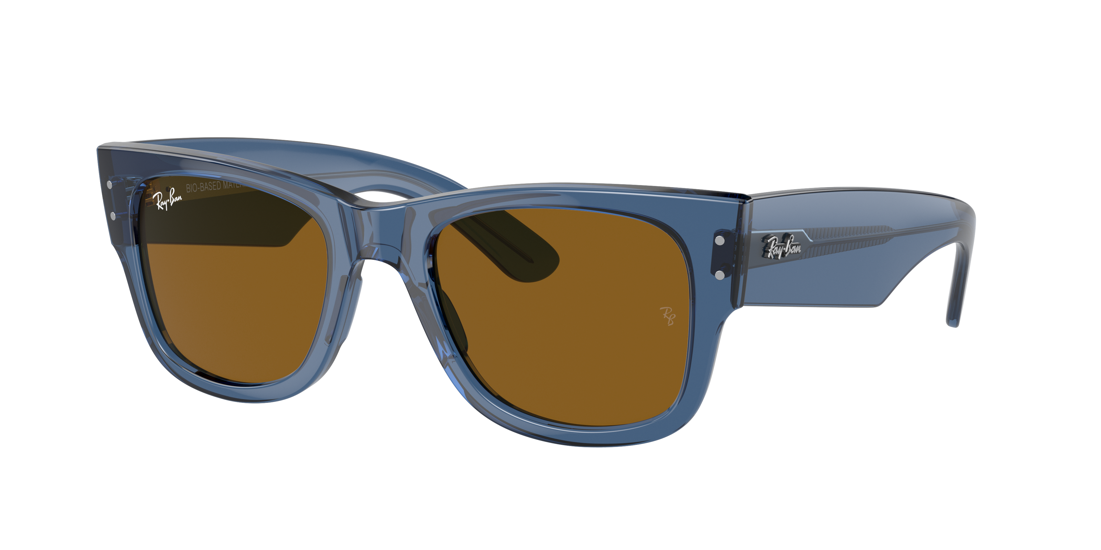 Shop Ray Ban Ray In Braun