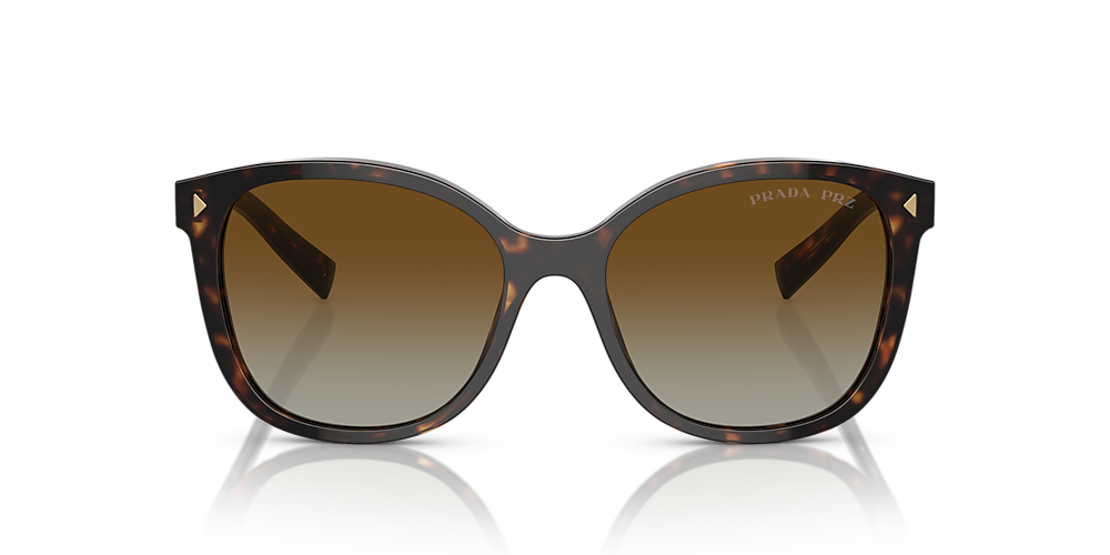 Jimmy Choo Dema Sunglasses Flash Sales | website.jkuat.ac.ke