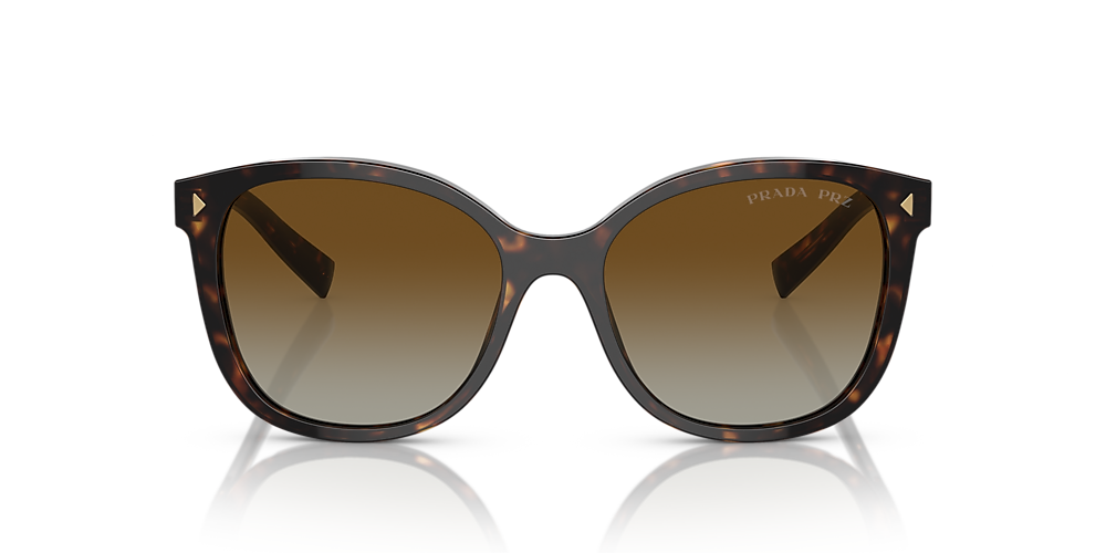 Jimmy Choo Dema Sunglasses Flash Sales | website.jkuat.ac.ke