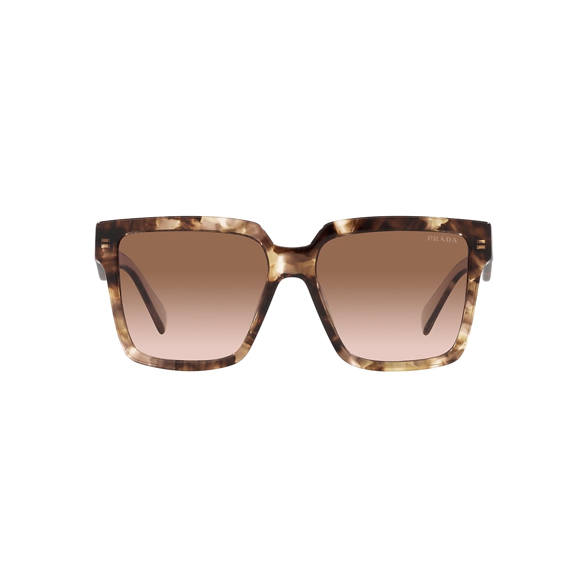 Prada PR 24ZS M (56 - 16) with Brown lenses and Tortoise