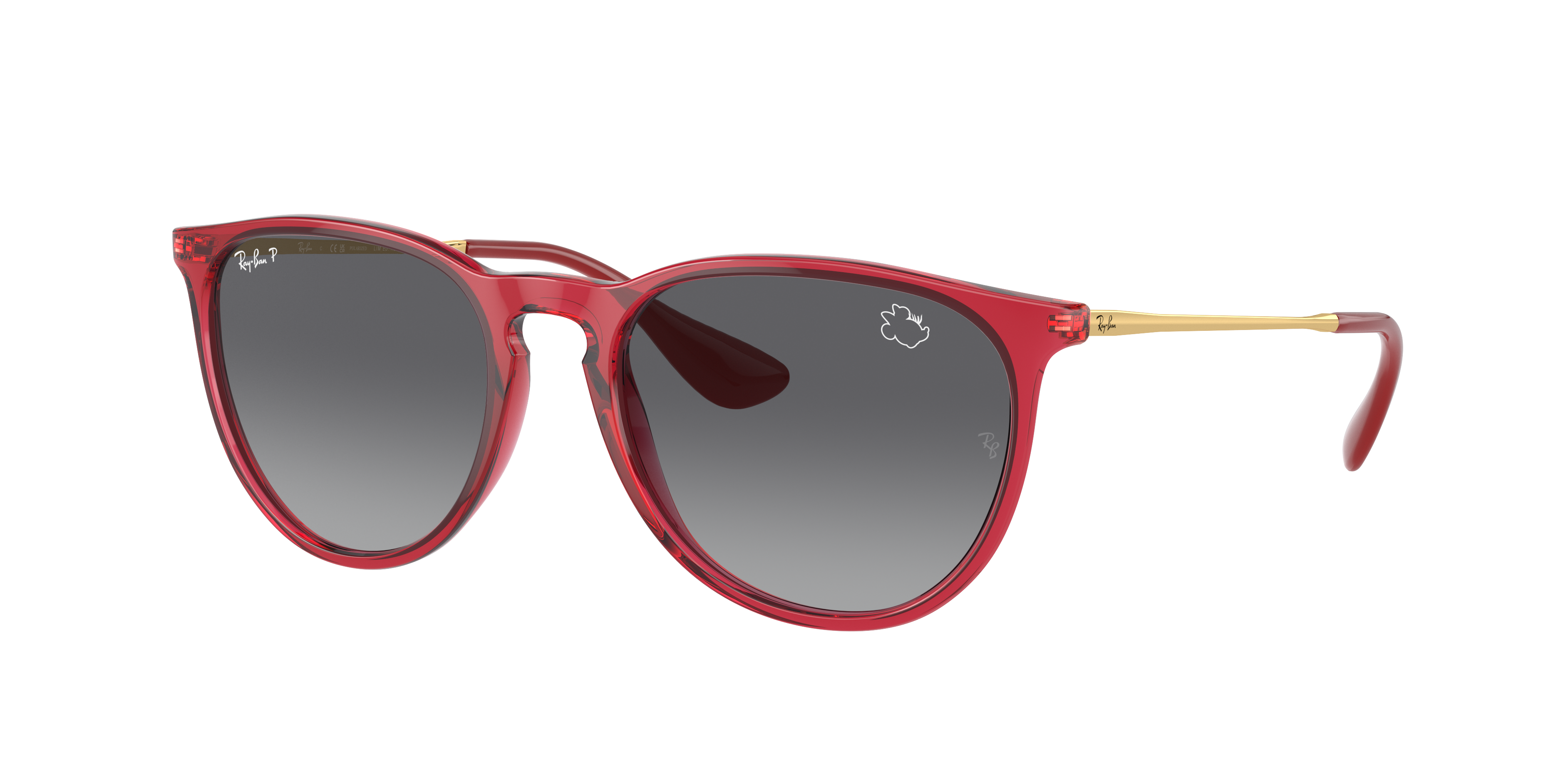 Ray Ban Ray In Grey