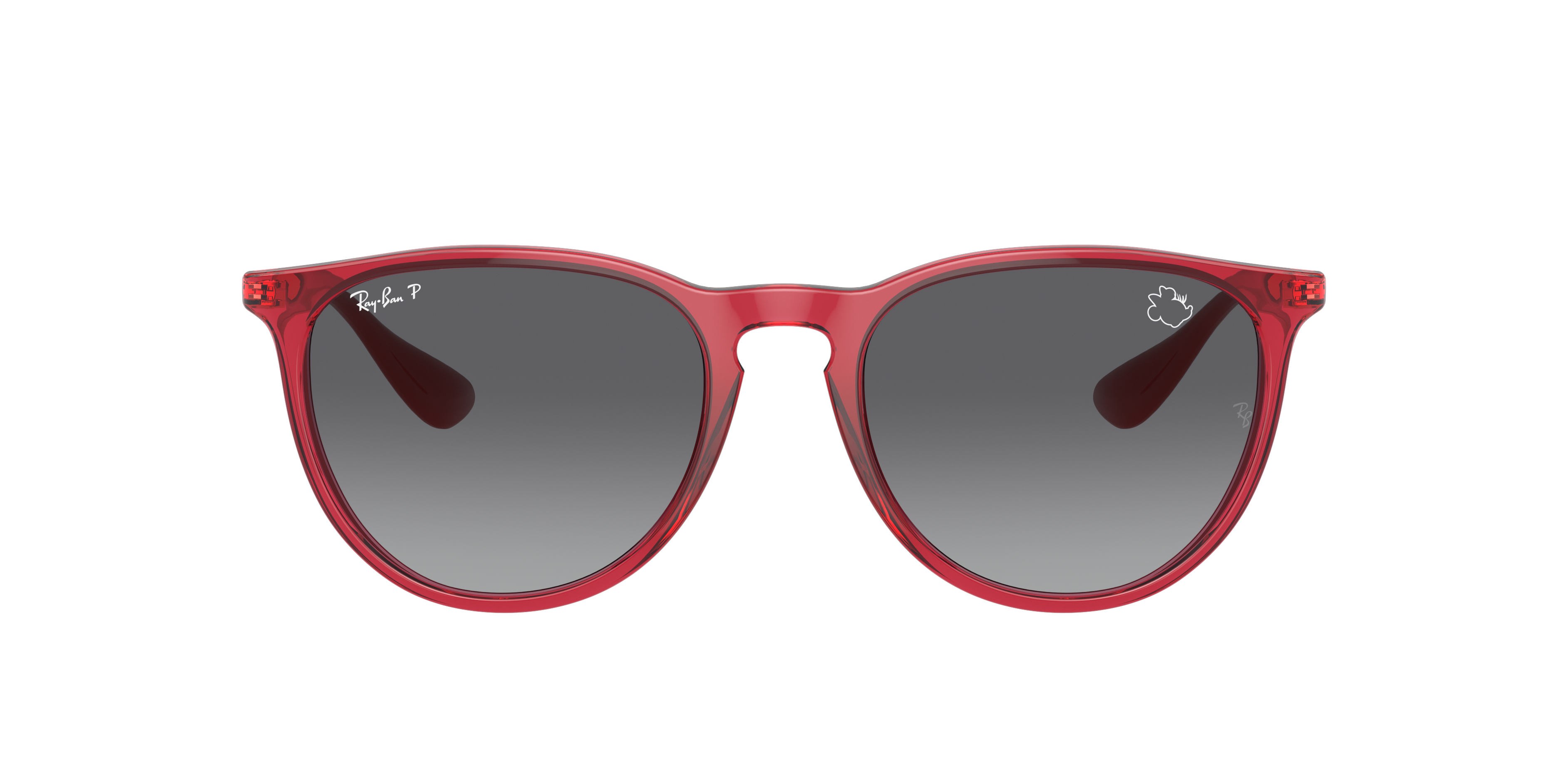Ray Ban Ray In Grey