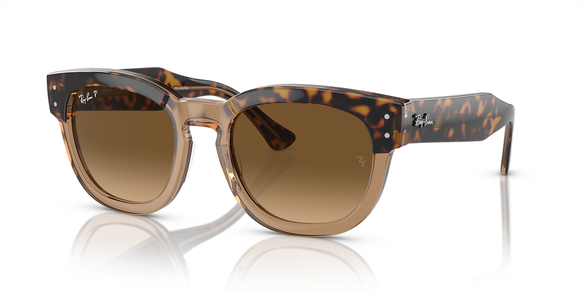 Ray-Ban RB0298S Mega Hawkeye 53 Brown & Havana On Transparent Brown ...