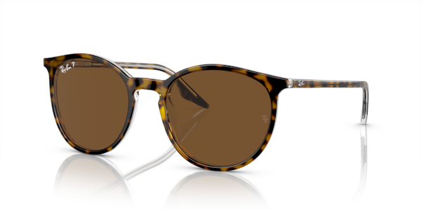 Óculos de sol Ray-Ban Rb2204, formato redondo, armação em acetato tartaruga, lente marrom polarizado
