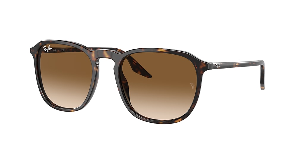 Ray-Ban RB2203 52 Light Brown & Havana Sunglasses | Sunglass Hut USA