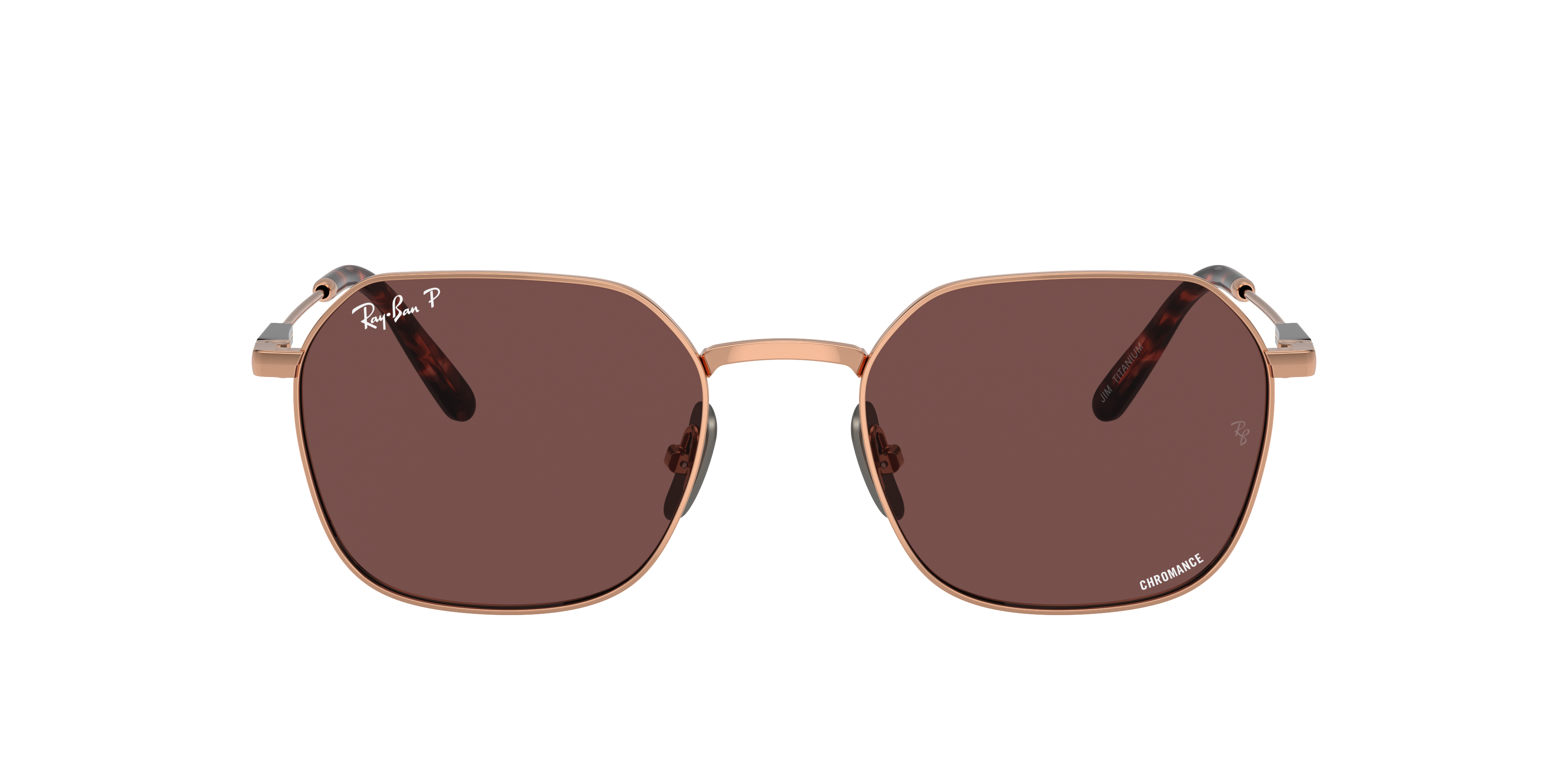 Ray Ban Ray In Dark Violet