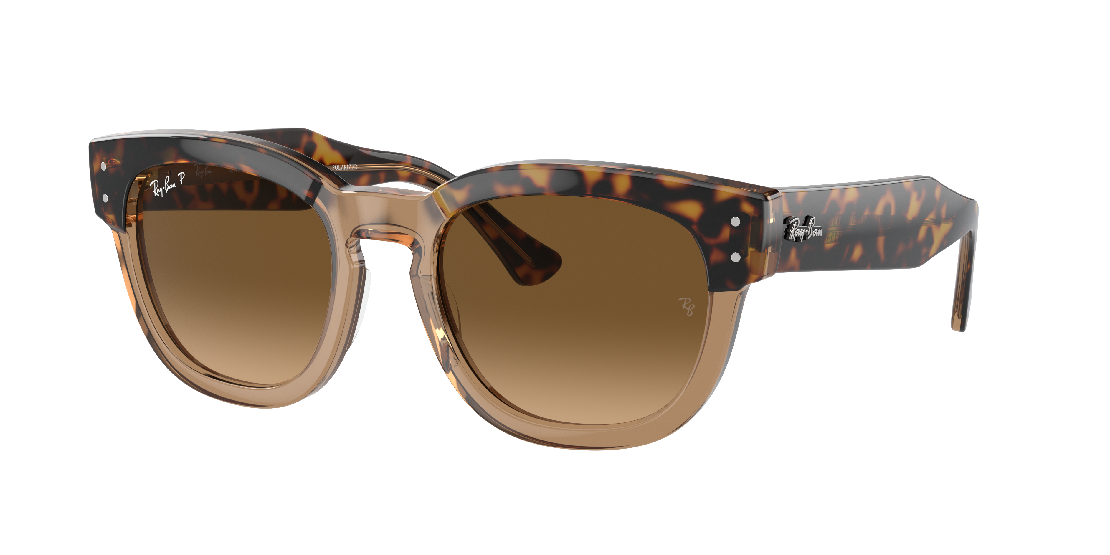 Shop Ray Ban Ray In Brown