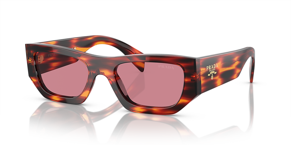 Prada PR A01S 53 Dark Violet & Havana Red Sunglasses | Sunglass 