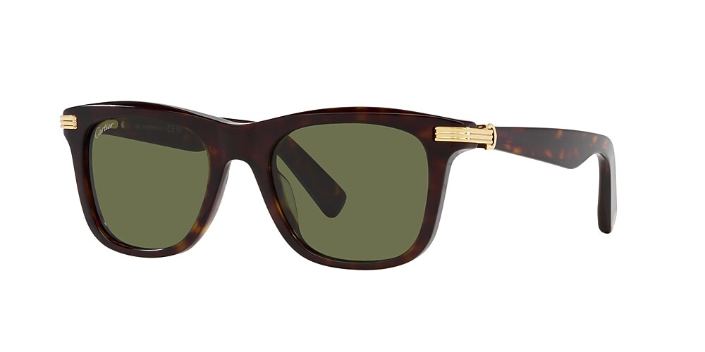 Cartier tortoise clearance sunglasses