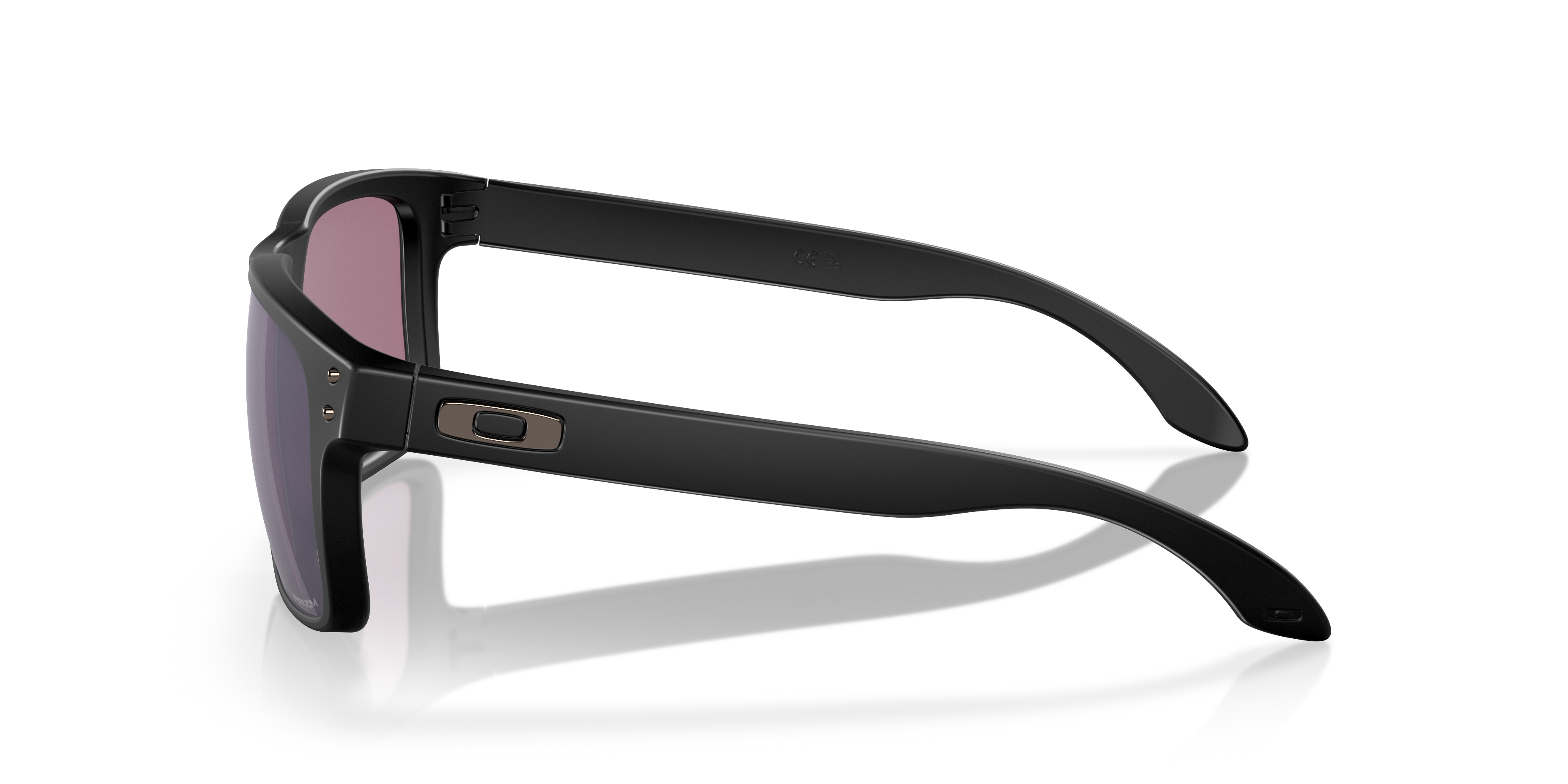 holbrook frames only