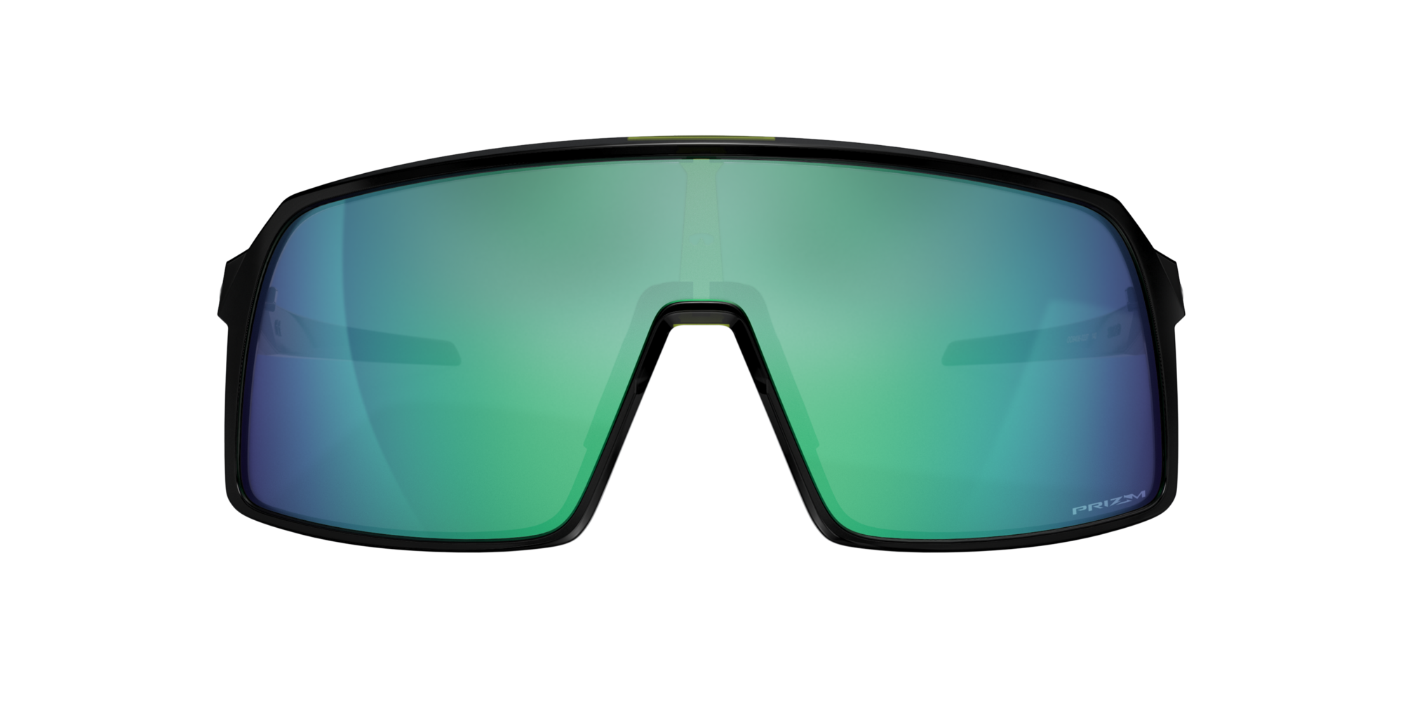 Cool View Round Jade Black Sunglass – The June Shop