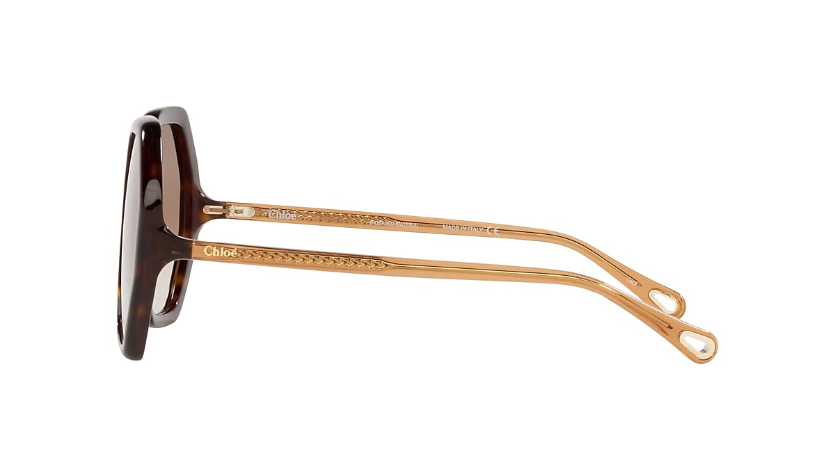 Chloé CH0008S XXS (58 - 17) with Brown lenses and Black