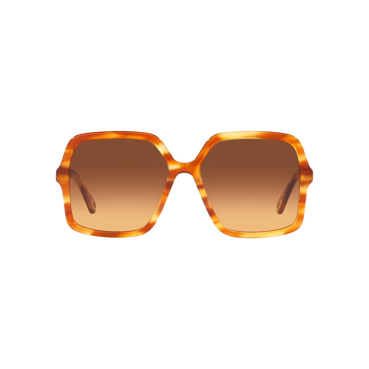 CHLOÉ CH0086S Brown - Unisex Sunglasses, Brown Lens