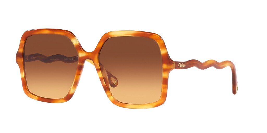Chloé CH0086S 58 Brown & Brown Sunglasses Sunglass Hut Canada