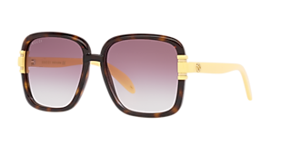 Gucci Sunglasses for Sunglass Hut®