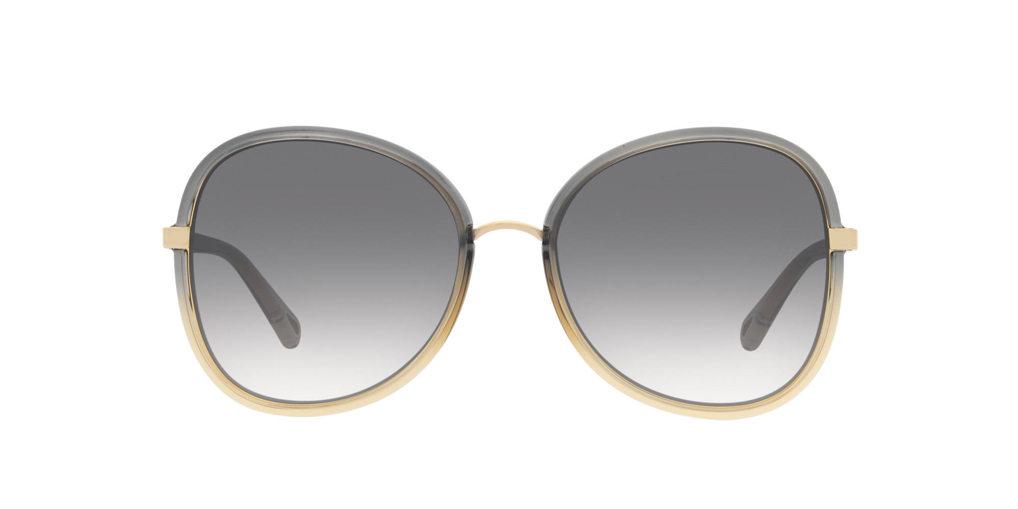 Shop Chloé Woman Sunglass Ch0030s In Grey