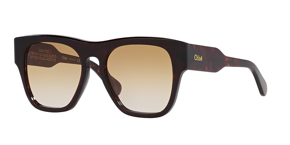 Chloe best sale tortoise sunglasses