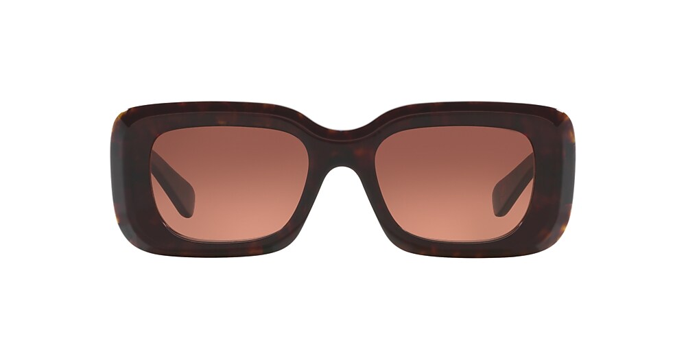 Chloé CH0188S 51 Copper & Tortoise Sunglasses | Sunglass Hut USA